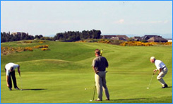 Prestwick St. Nicholas Golf Club Prestwick St. Nicholas Golf Club