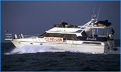 Luxury Yacht Charters