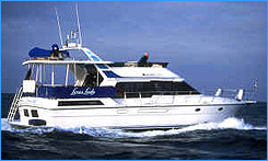 Luxury Yacht Charters