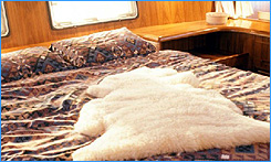 Luxury Yacht Charters